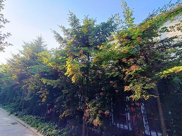 從哈爾濱搭高鐵-->大連, 1000公里4.5小時~~大連之 從哈爾濱搭高鐵-->大連, 1000公里4.5小時~~大連之