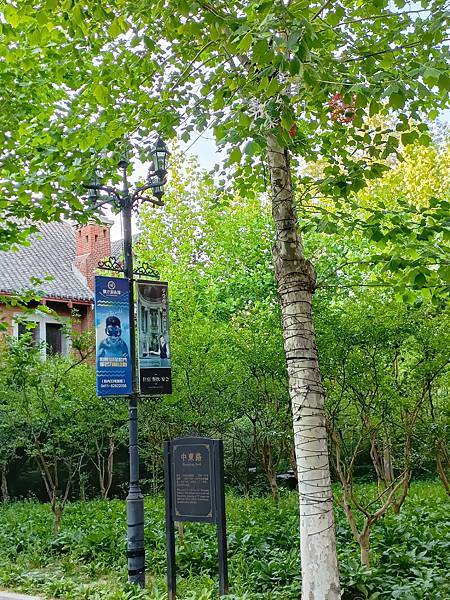 從哈爾濱搭高鐵-->大連, 1000公里4.5小時~~大連之 從哈爾濱搭高鐵-->大連, 1000公里4.5小時~~大連之