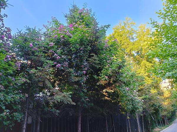 從哈爾濱搭高鐵-->大連, 1000公里4.5小時~~大連之 從哈爾濱搭高鐵-->大連, 1000公里4.5小時~~大連之