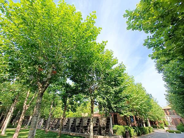 從哈爾濱搭高鐵-->大連, 1000公里4.5小時~~大連之 從哈爾濱搭高鐵-->大連, 1000公里4.5小時~~大連之