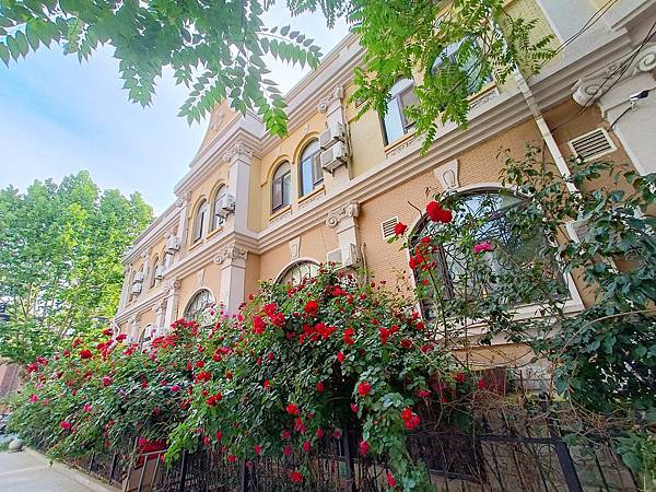 從哈爾濱搭高鐵-->大連, 1000公里4.5小時~~大連之 從哈爾濱搭高鐵-->大連, 1000公里4.5小時~~大連之