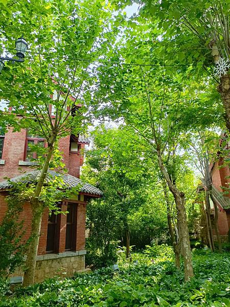 從哈爾濱搭高鐵-->大連, 1000公里4.5小時~~大連之 從哈爾濱搭高鐵-->大連, 1000公里4.5小時~~大連之