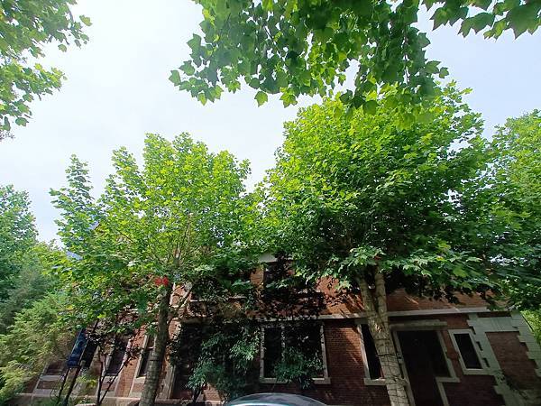 從哈爾濱搭高鐵-->大連, 1000公里4.5小時~~大連之 從哈爾濱搭高鐵-->大連, 1000公里4.5小時~~大連之