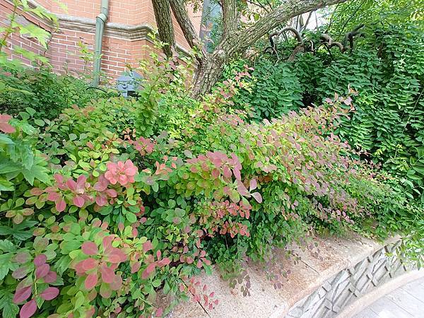 從哈爾濱搭高鐵-->大連, 1000公里4.5小時~~大連之 從哈爾濱搭高鐵-->大連, 1000公里4.5小時~~大連之