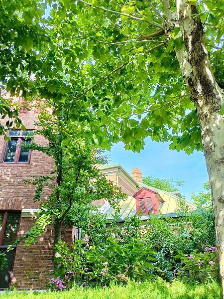 從哈爾濱搭高鐵-->大連, 1000公里4.5小時~~大連之 從哈爾濱搭高鐵-->大連, 1000公里4.5小時~~大連之