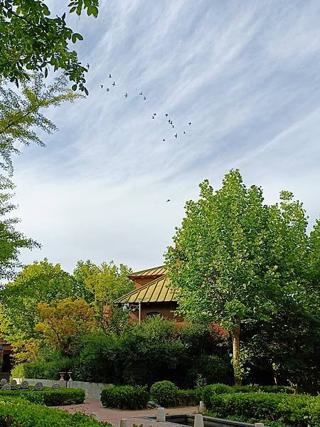 從哈爾濱搭高鐵-->大連, 1000公里4.5小時~~大連之 從哈爾濱搭高鐵-->大連, 1000公里4.5小時~~大連之