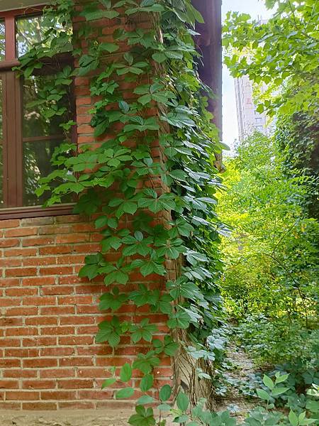 從哈爾濱搭高鐵-->大連, 1000公里4.5小時~~大連之 從哈爾濱搭高鐵-->大連, 1000公里4.5小時~~大連之