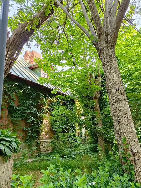 從哈爾濱搭高鐵-->大連, 1000公里4.5小時~~大連之 從哈爾濱搭高鐵-->大連, 1000公里4.5小時~~大連之