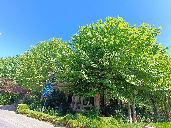 從哈爾濱搭高鐵-->大連, 1000公里4.5小時~~大連之 從哈爾濱搭高鐵-->大連, 1000公里4.5小時~~大連之