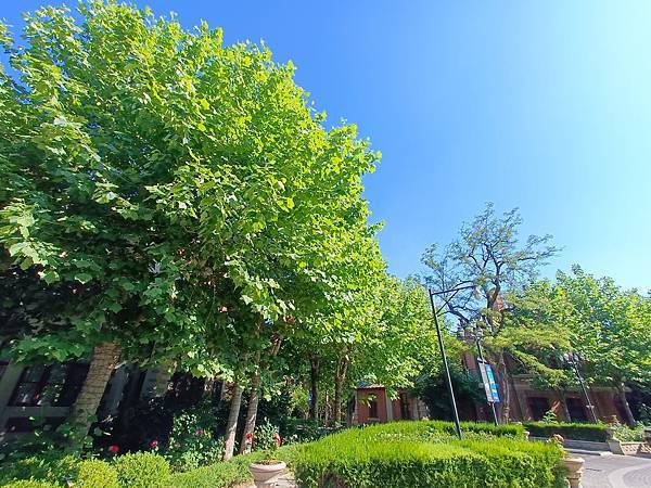 從哈爾濱搭高鐵-->大連, 1000公里4.5小時~~大連之 從哈爾濱搭高鐵-->大連, 1000公里4.5小時~~大連之