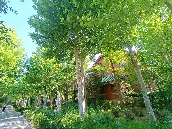 從哈爾濱搭高鐵-->大連, 1000公里4.5小時~~大連之 從哈爾濱搭高鐵-->大連, 1000公里4.5小時~~大連之