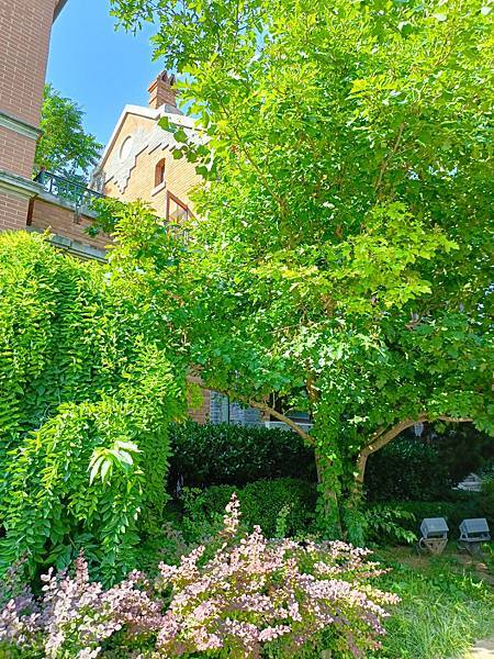 從哈爾濱搭高鐵-->大連, 1000公里4.5小時~~大連之 從哈爾濱搭高鐵-->大連, 1000公里4.5小時~~大連之