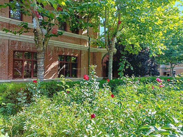 從哈爾濱搭高鐵-->大連, 1000公里4.5小時~~大連之 從哈爾濱搭高鐵-->大連, 1000公里4.5小時~~大連之