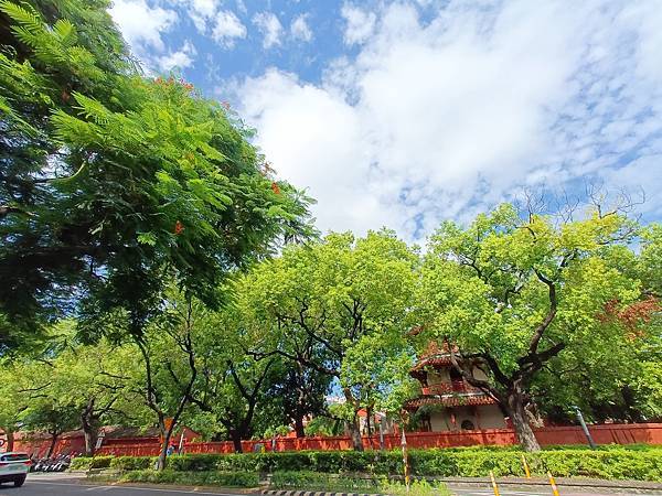 充滿歷史&老樹的城市—台南