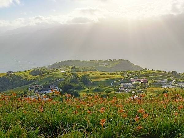 六十石山, 黃澄澄的金針花毯, 令人心曠神怡!