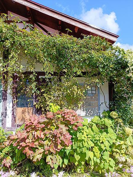 IMG20241012105145 - 複製.jpg