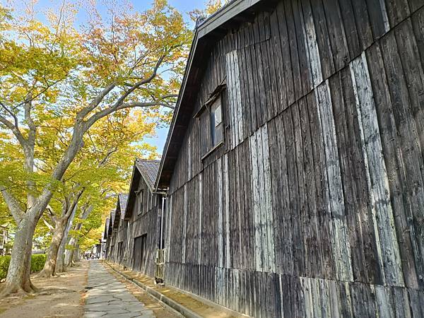 IMG20241014111721 - 複製.jpg