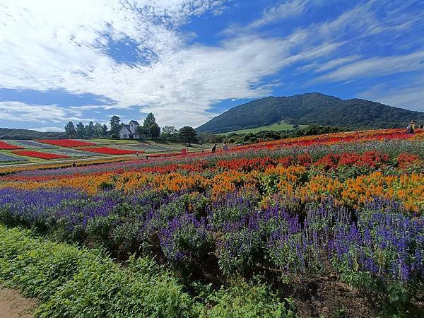“藥萊花園--秋天色彩的花地毯 、”鍾景閣”-在歷史建築中享