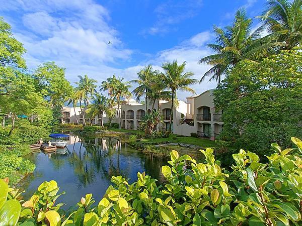 我們住在”理想大地”--西班牙式建築&花東地區植物, 令人喜