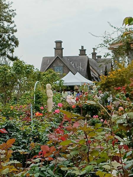 玫瑰花展在「雅聞湖濱療癒森林」~~台南