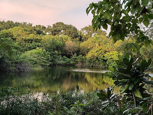 美景(鳥松濕地)&美食(冒煙的喬)---高雄澄清湖畔