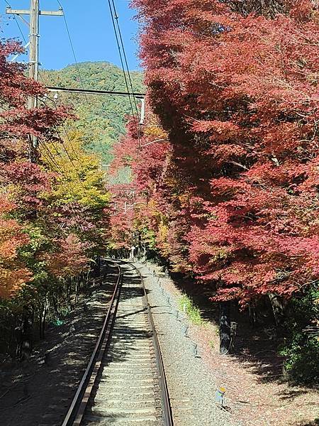 京都---令我沉醉於色彩&歷史建築的城市