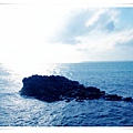 1010502 蝌蚪島+