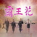 0830531 霸王花.jpg