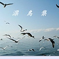 0050000 漂鳥集-泰戈爾.jpg