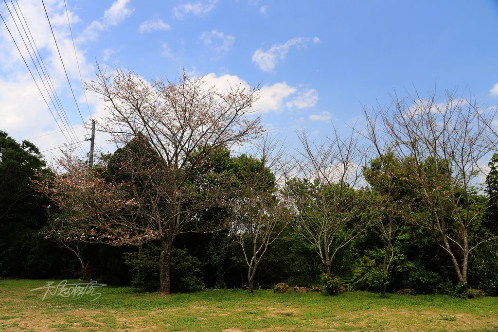 高山青農場