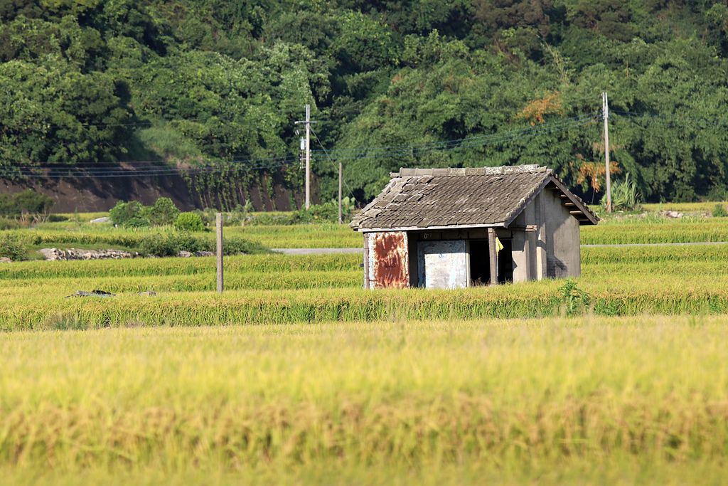 田園風光