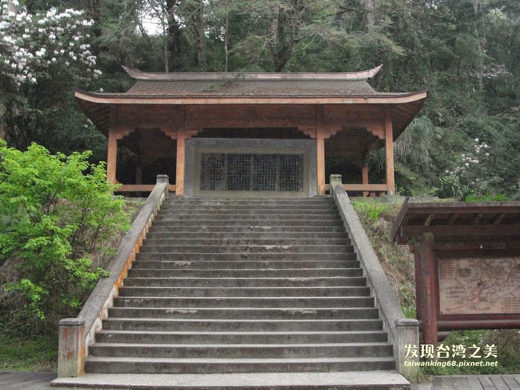 阿里山賞櫻記