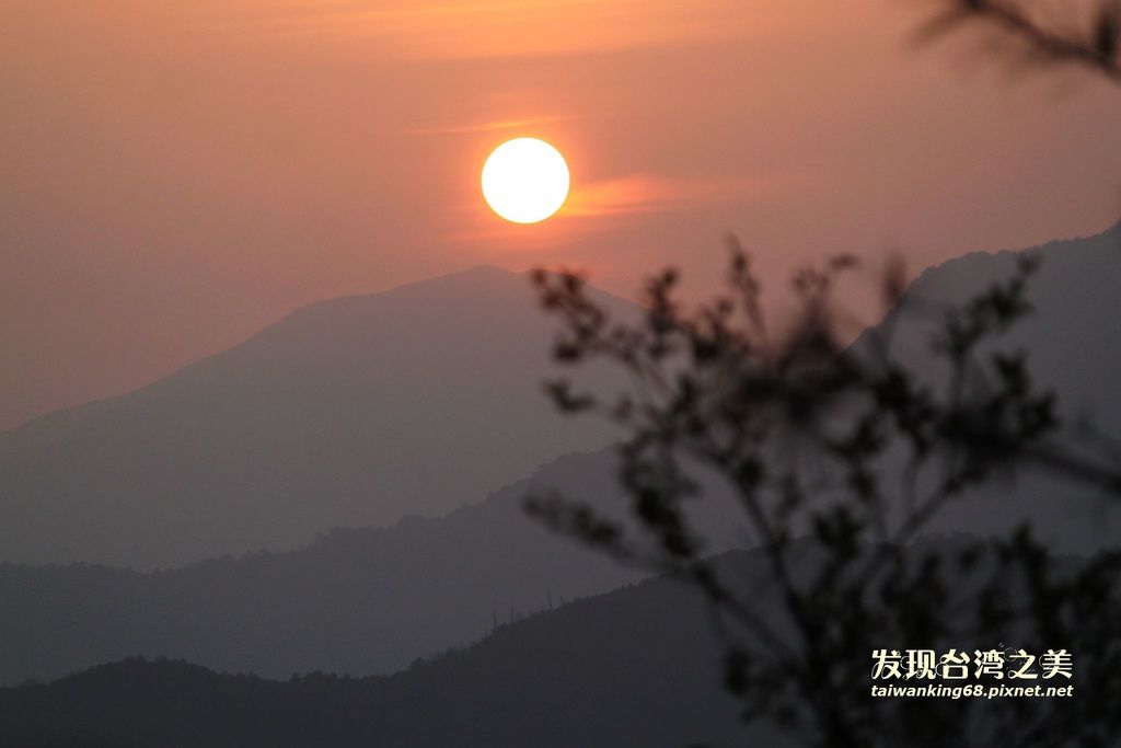 阿里山賞櫻記