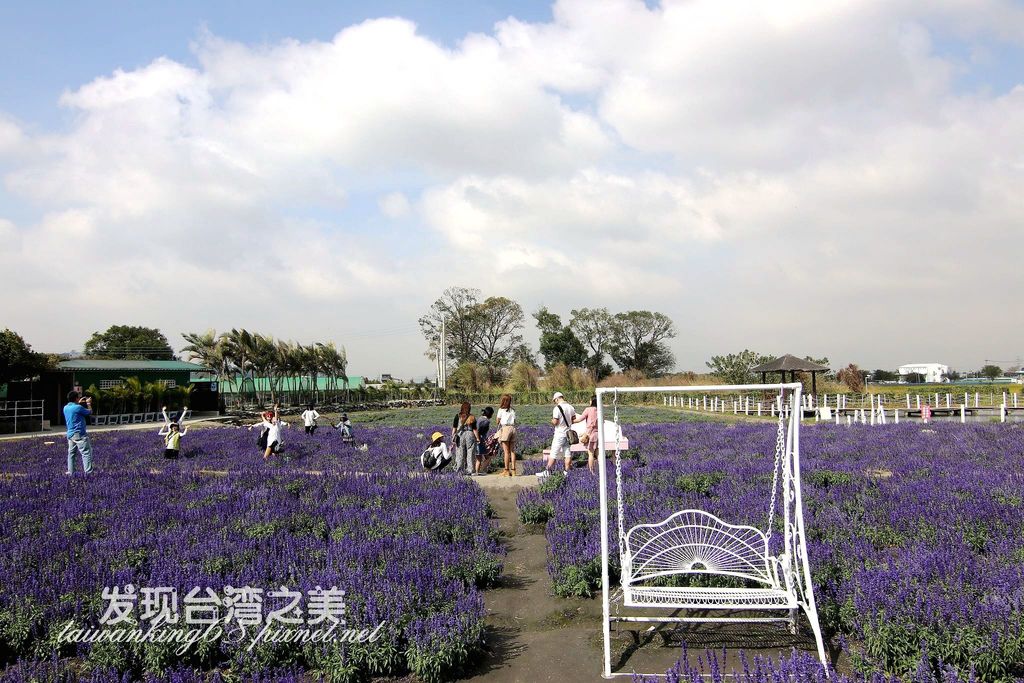 中社花市