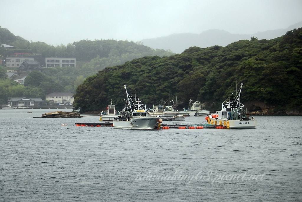 日本西海國立公園 99島遊船與西海珍珠水族館