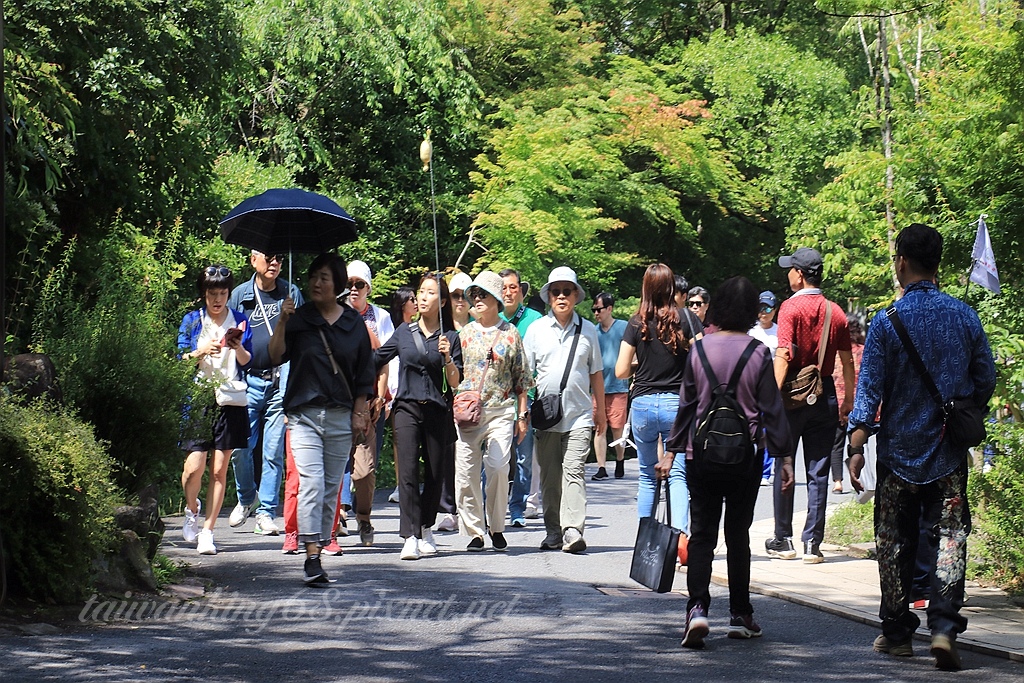 日本九州之旅 湯布院與金麟湖