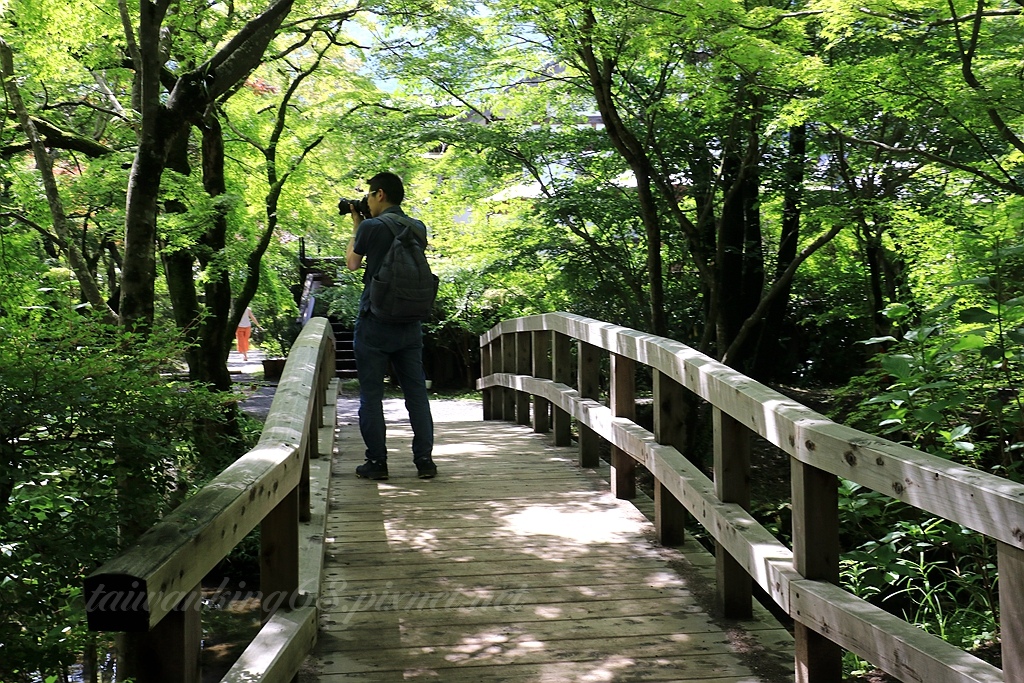 日本九州之旅 湯布院與金麟湖