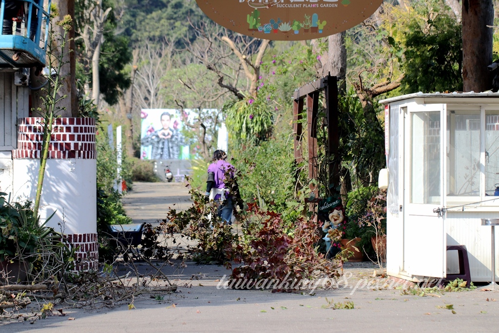 三義雅聞香草植物園