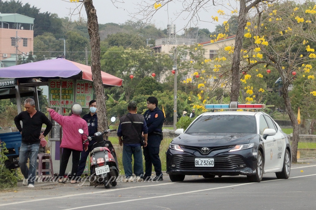 彰化芬園彰南路黃花風鈴木