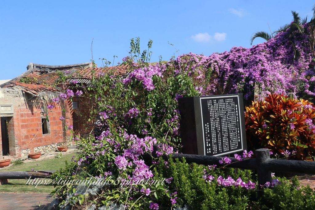 苑裡王家古厝蒜香藤