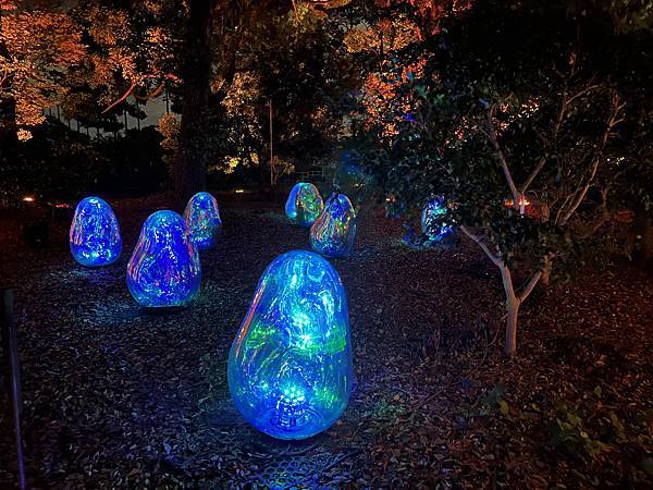 大阪長居公園teamlab巡禮