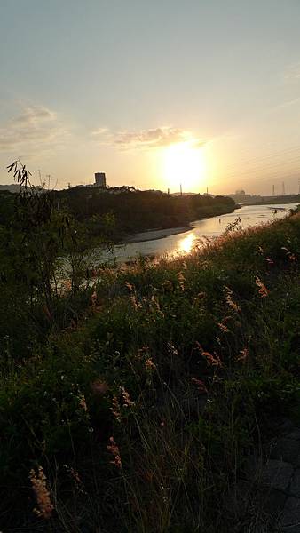 P1170666.JPG P1170666.JPG