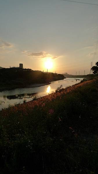 P1170669.JPG P1170669.JPG