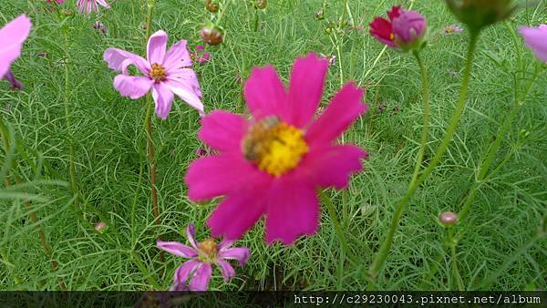 P1180124.JPG P1180124.JPG