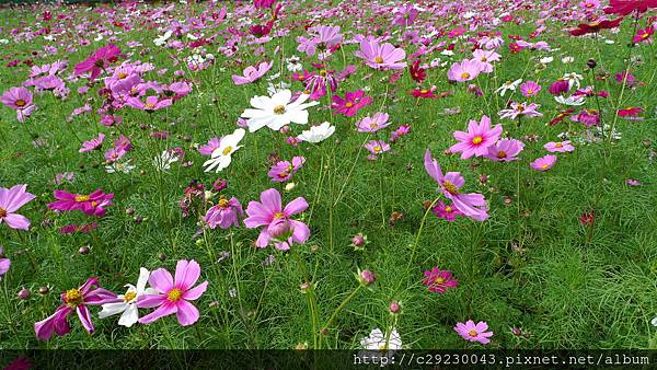 P1180125.JPG P1180125.JPG