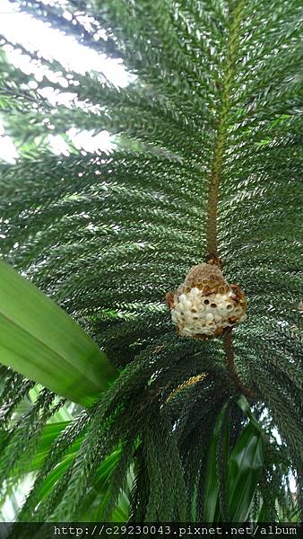 P1180137.JPG P1180137.JPG