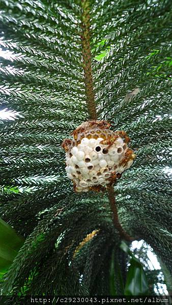 P1180138.JPG P1180138.JPG