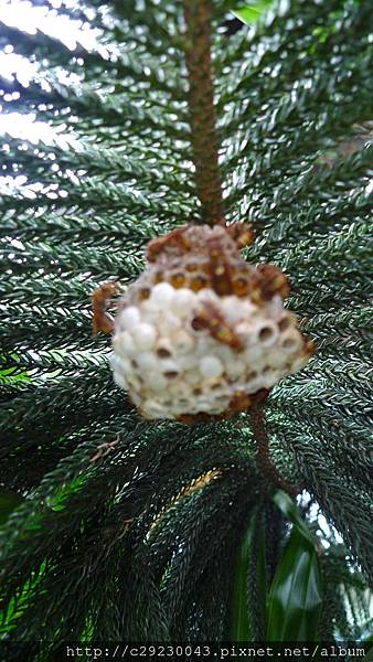 P1180139.JPG P1180139.JPG