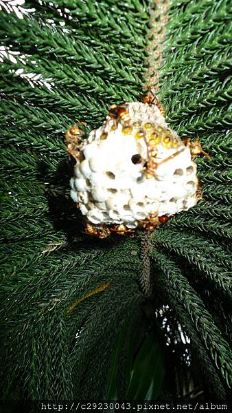 P1180140.JPG P1180140.JPG