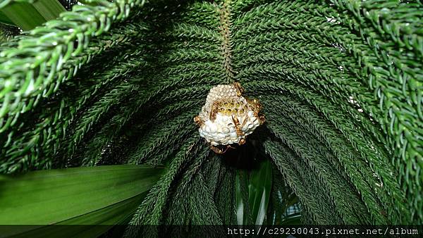 P1180141.JPG P1180141.JPG